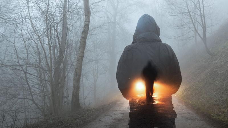 Egy falusi fiatalember rejtélyes módon eltűnt az Amazonas dzsungelében, ahol a valóság olyan drámai és izgalmas, mintha egy hollywoodi thriller történetébe csöppentünk volna. Az őserdő mélyén zajló események és a természet vad szépsége egyaránt lenyűgöző 