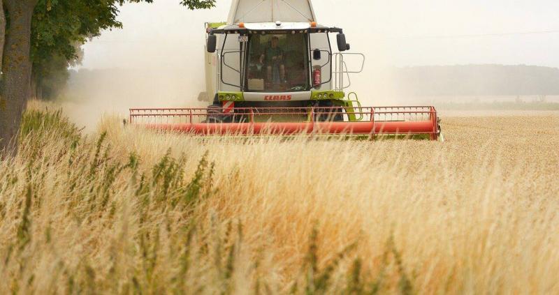 Putyin elnök határozott utasítást adott, ám ez a lépés súlyosan megterhelheti az orosz mezőgazdaságot.
