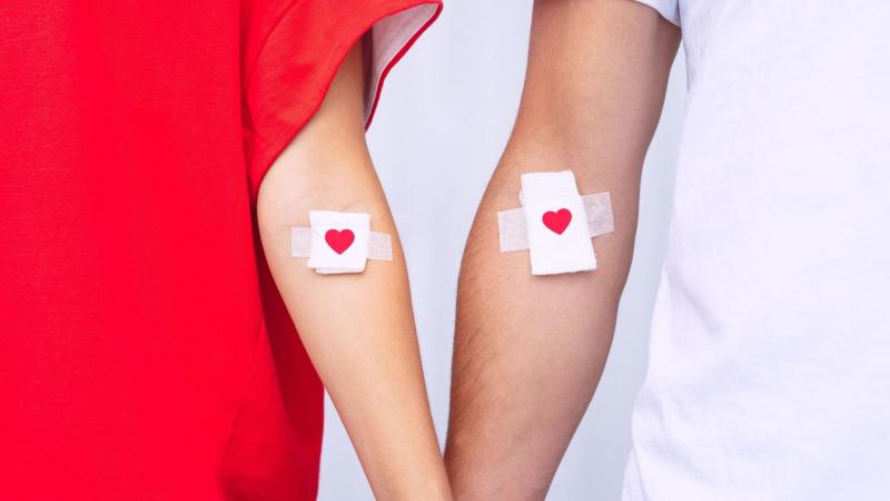 Hol lehet vért adni Zala vármegyében? Összegyűjtöttük a legjobb helyszíneket!