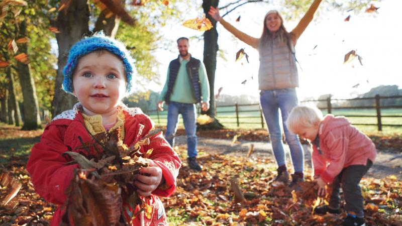 Íme, egyedi megfogalmazásban a 20 legizgalmasabb őszi program gyerekekkel, hiszen közeleg a szünet, és érdemes kihasználni a színes évszak adta lehetőségeket!